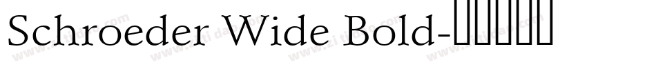 Schroeder Wide Bold字体转换